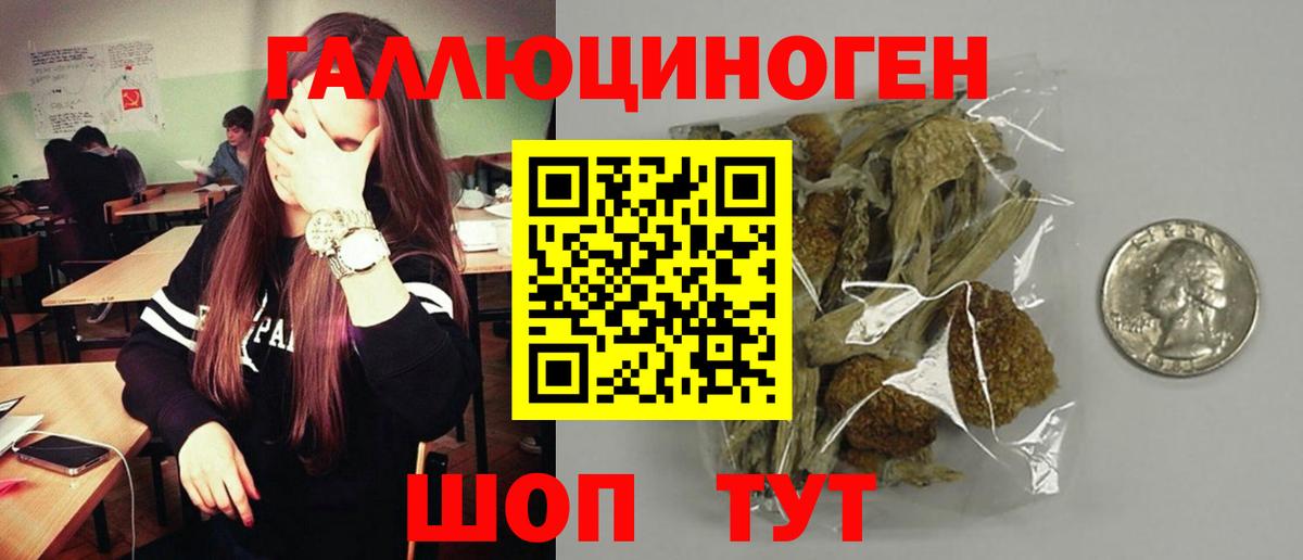 Кушва  Псилоцибиновые грибы Cubensis  Вход с VPN 